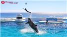 Chùm Tour Nhật Bản 2025 khởi hành từ TP. HCM